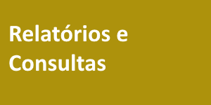 Relatórios e Consultas