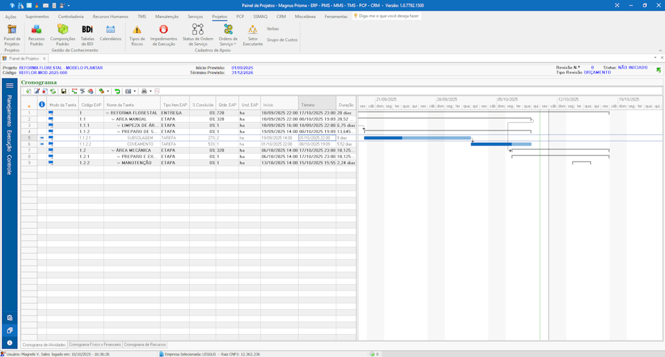 Gráfico Gantt de Projetos, controle os prazos e as entregas do Projeto